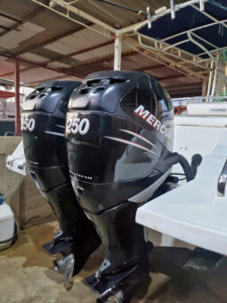 
										PAREJA MERCURY VERADO 250 HP full									