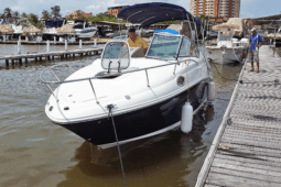 
										SEA RAY SUNDANCER 240 24 full									