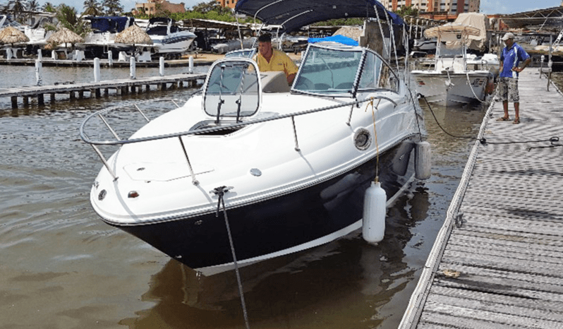 
								SEA RAY SUNDANCER 240 24 full									