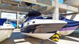 
										SEA RAY SUNDANCER 240 24 full									