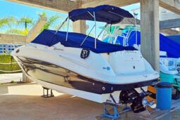 
										SEA RAY SUNDANCER 240 24 full									