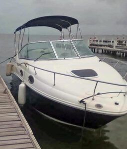 
										SEA RAY SUNDANCER 240 24 full									