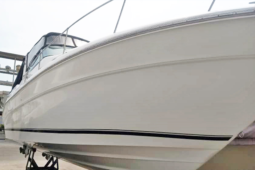 
										SEA RAY SUNDANCER 330 33 full									