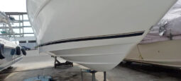 
										SEA RAY SUNDANCER 330 33 full									