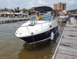 
										SEA RAY SUNDANCER 240 24 full									