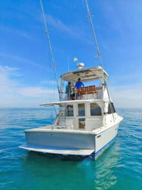 BERTRAM 35