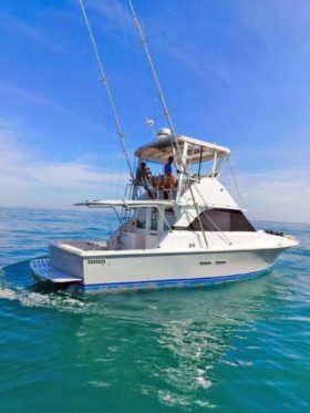 BERTRAM 35