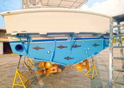 
										BERTRAM 35 full									