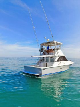 BERTRAM 35