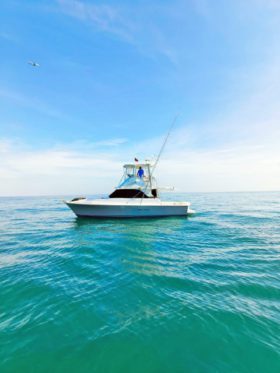 BERTRAM 35