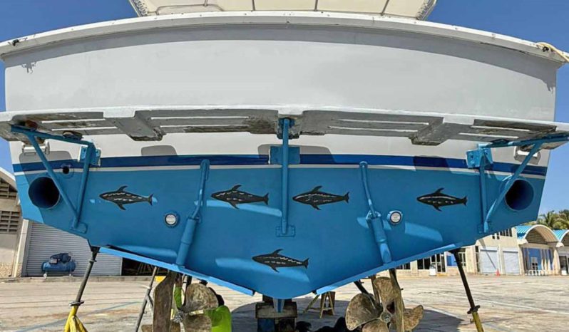 
								BERTRAM 35 full									