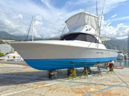 
										BERTRAM 35 full									