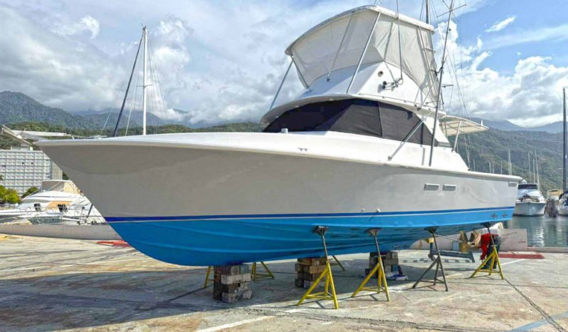 
								BERTRAM 35 full									