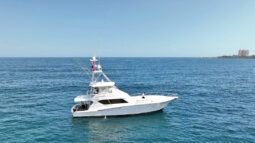 
										HATTERAS 60 full									