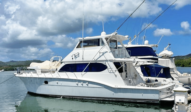 
								HATTERAS ENCLOSED BRIDGE 60 full									