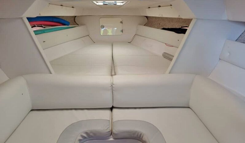 
								INTERMARINE AVANTI 35 full									