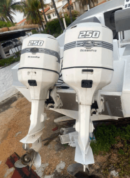 
										INTERMARINE Z 29 full									