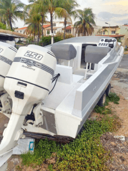 
										INTERMARINE Z 29 full									