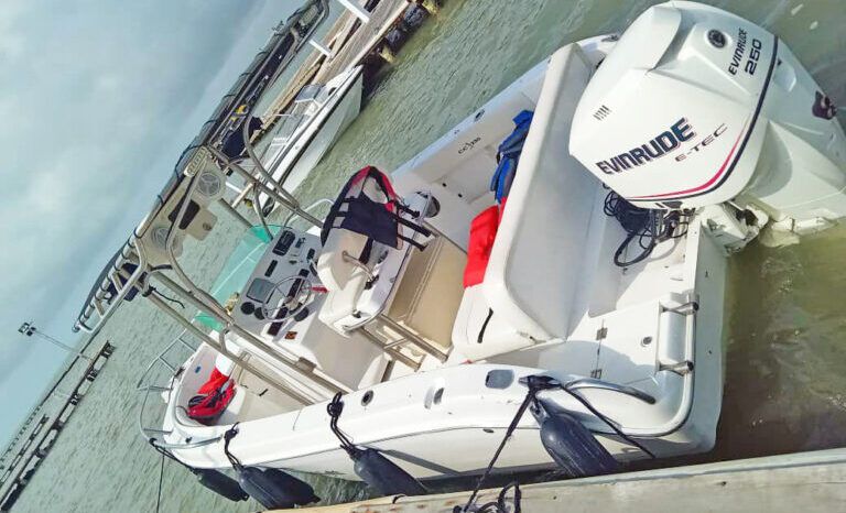 
								INTERMARINE AVANTI 35 full									