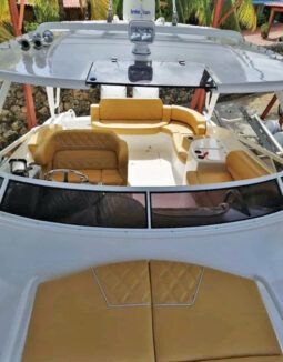 
										PROMARINE EXPRESS 34 full									