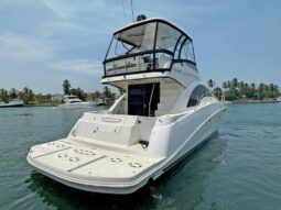 
										SEA RAY SEDAN BRIDGE 47 full									