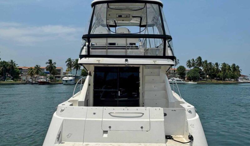 
								SEA RAY SEDAN BRIDGE 47 full									