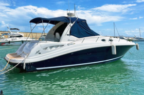 SEA RAY SUNDANCER 340 37