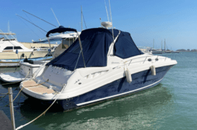 SEA RAY SUNDANCER 340 37