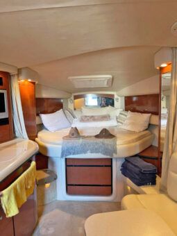 
										SEA RAY SUNDANCER 340 37 full									