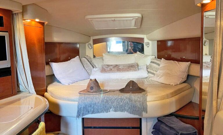 
								SEA RAY SUNDANCER 340 37 full									