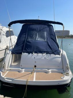 
										SEA RAY SUNDANCER 340 37 full									