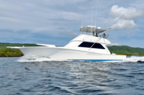 VIKING CONVERTIBLE 50