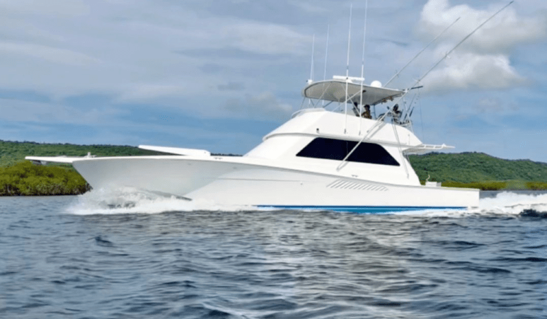 
								VIKING CONVERTIBLE 50 full									