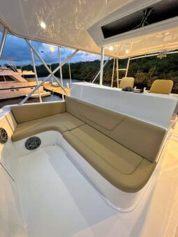 
										VIKING CONVERTIBLE 50 full									