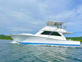 VIKING CONVERTIBLE 50