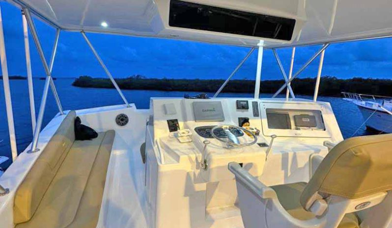 
								VIKING CONVERTIBLE 50 full									