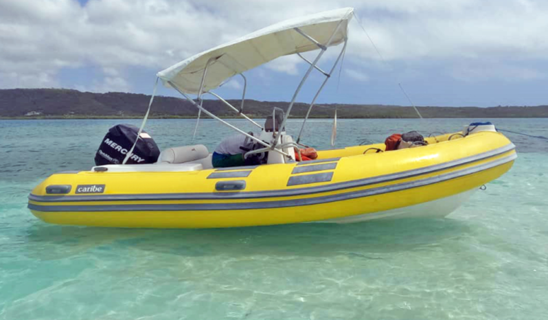 
								DINGHY CARIBE 17 full									