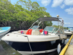 
										ROBALO R227 22 full									