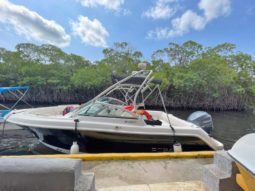 
										ROBALO R227 22 full									