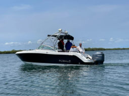 
										ROBALO R227 22 full									