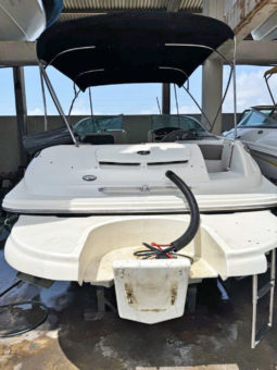 
										SEA RAY 24 full									