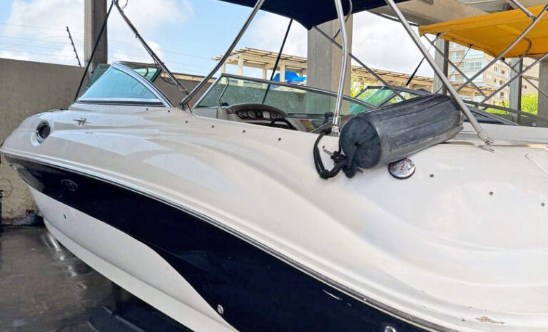 
								SEA RAY 24 full									