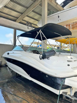 
										SEA RAY 24 full									