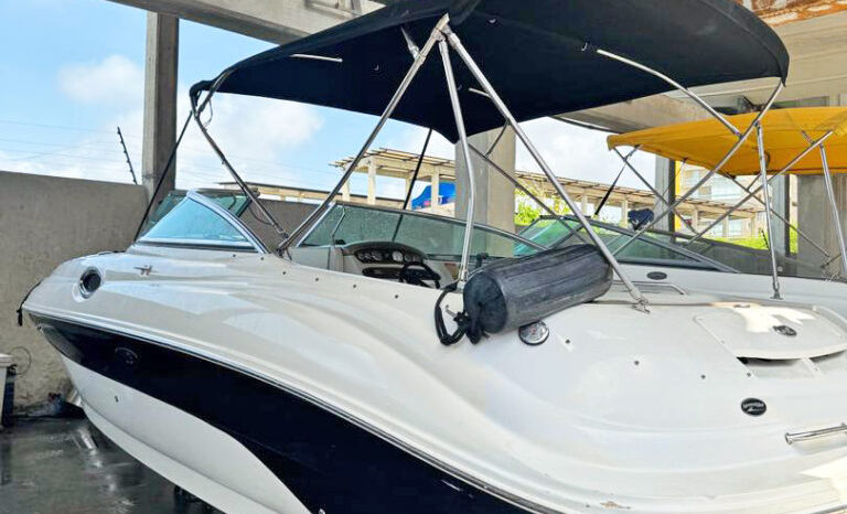 
								SEA RAY 24 full									