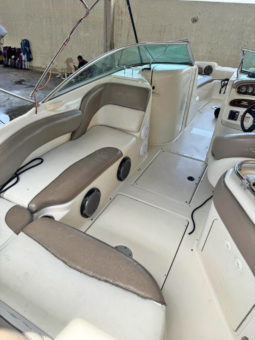 
										SEA RAY 24 full									