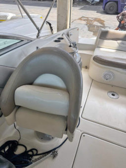 
										SEA RAY 24 full									