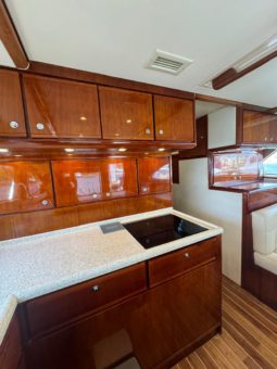 
										BERTRAM CONVERTIBLE 51 full									