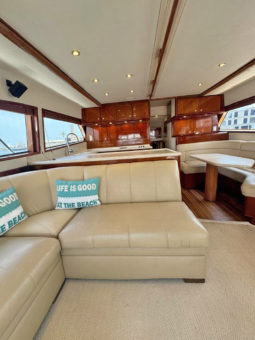 
										BERTRAM CONVERTIBLE 51 full									