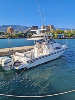 
										BOSTON WHALER 27 full									