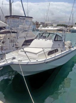 
										BOSTON WHALER 27 full									